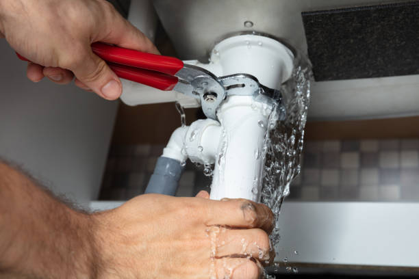 Best Professional water damage repair  in Dane, WI