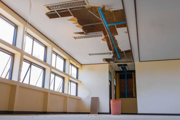 Best Commercial water damage restoration  in Dane, WI