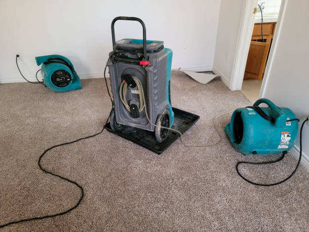 Best Water damage restoration cost  in Dane, WI