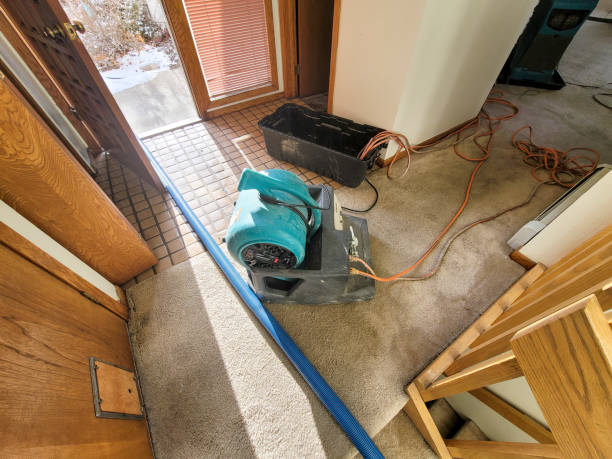 Best Water damage contractors near me  in Dane, WI