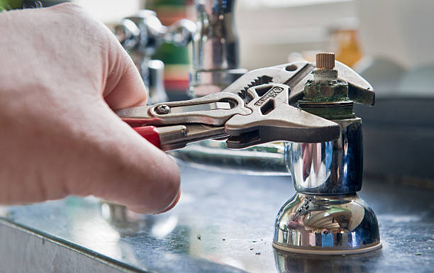 Best Basement water damage restoration  in Dane, WI