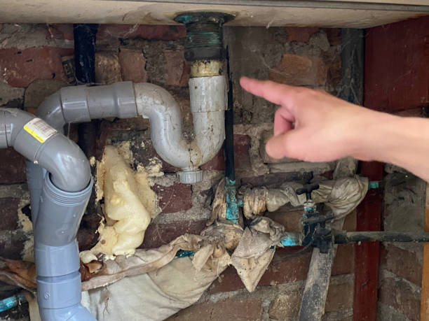Best Water damage restoration mold remediation  in Dane, WI