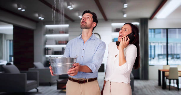 Best Mold removal after water damage  in Dane, WI